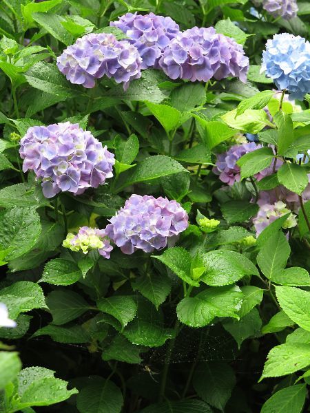 Img_0573_s Img_0573_s