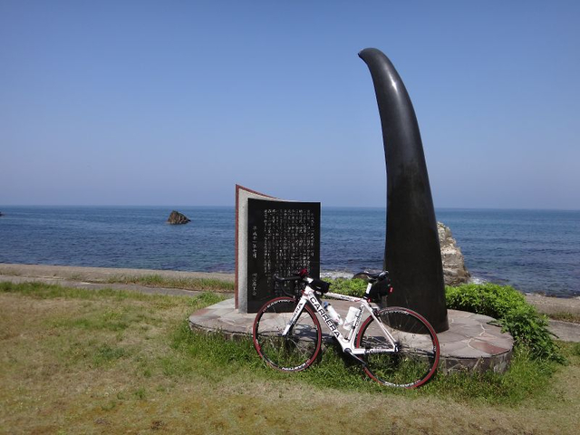2009 2009